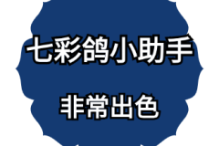 七彩鸽小助手-做短视频博主是一个不断破圈的过程！