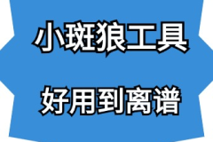 小斑狼工具-普通人如何通过自媒体月入过万？