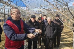 让“科技”扎根泥土 让“果实”结遍田间