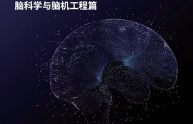 深圳国际科技信息中心与科睿唯安联合发布《2024产业科技进展—脑科学与脑机工程篇》