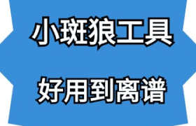 小斑狼工具-普通人如何通过自媒体月入过万？