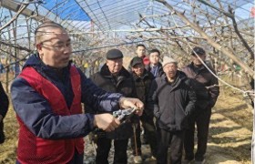 让“科技”扎根泥土 让“果实”结遍田间